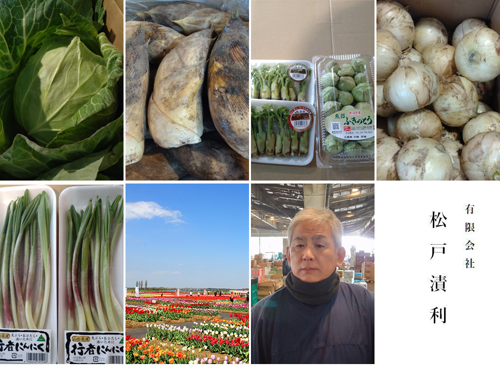 春キャベツ、竹の子、ふきのとう タラの芽、新玉ねぎ、行者ニンニクが入荷です。