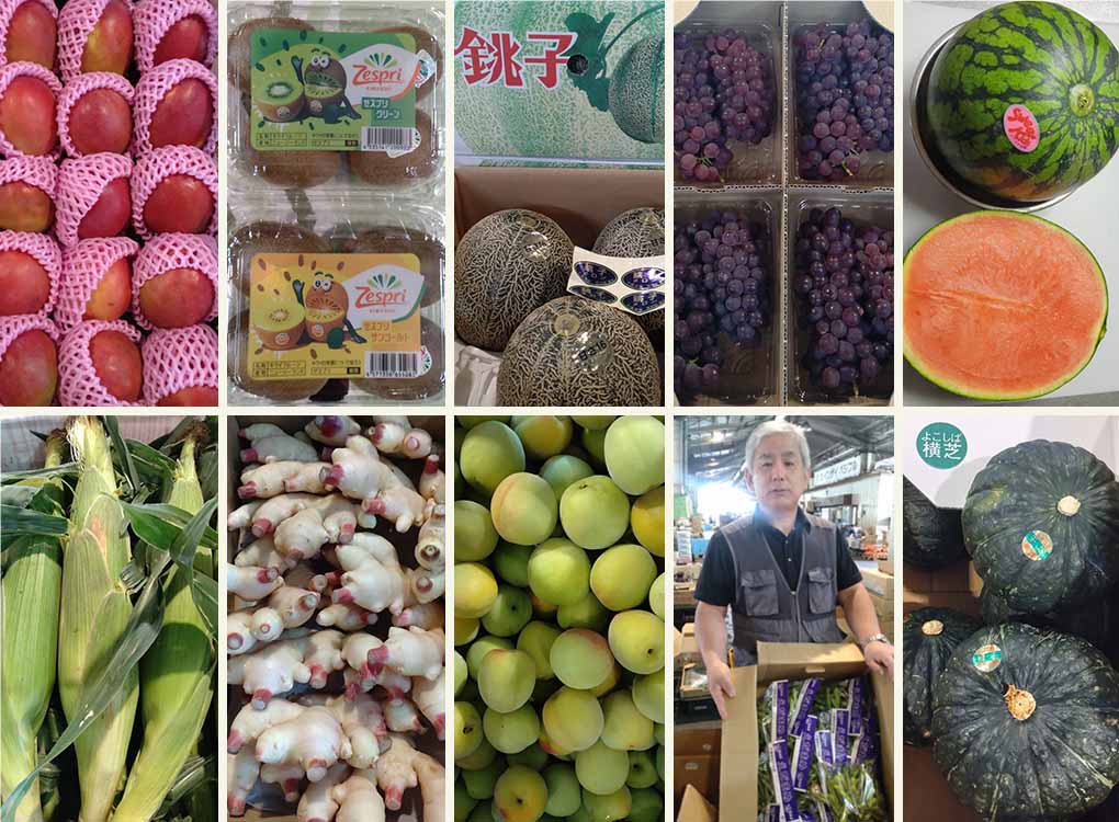 アップルマンゴー、グリーンキウイ・ ゴールドキウイ、アムスメロン、デラウェア、小玉西瓜、甘々娘(とうもろこし)、新生姜、南高梅、枝豆、南瓜が入荷です。