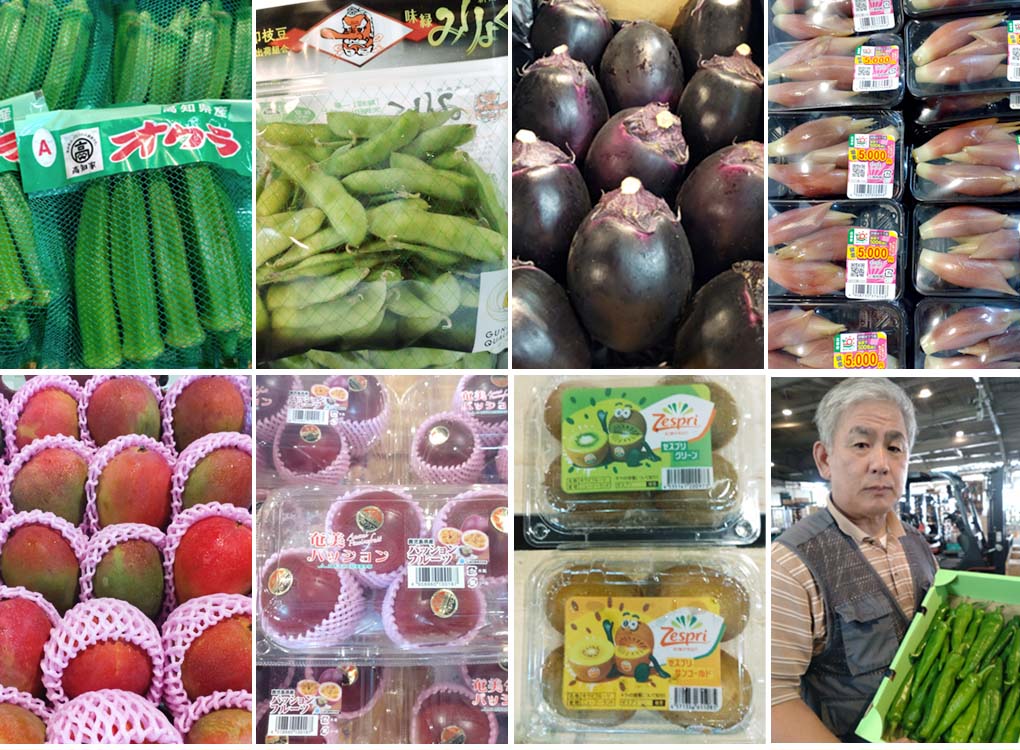オクラ、枝豆(みりょく)、丸茄子、茗荷、メキシコマンゴー、パッションフルーツ、キウイ(グリーン・ゴールド)、万願寺唐辛子が入荷です。