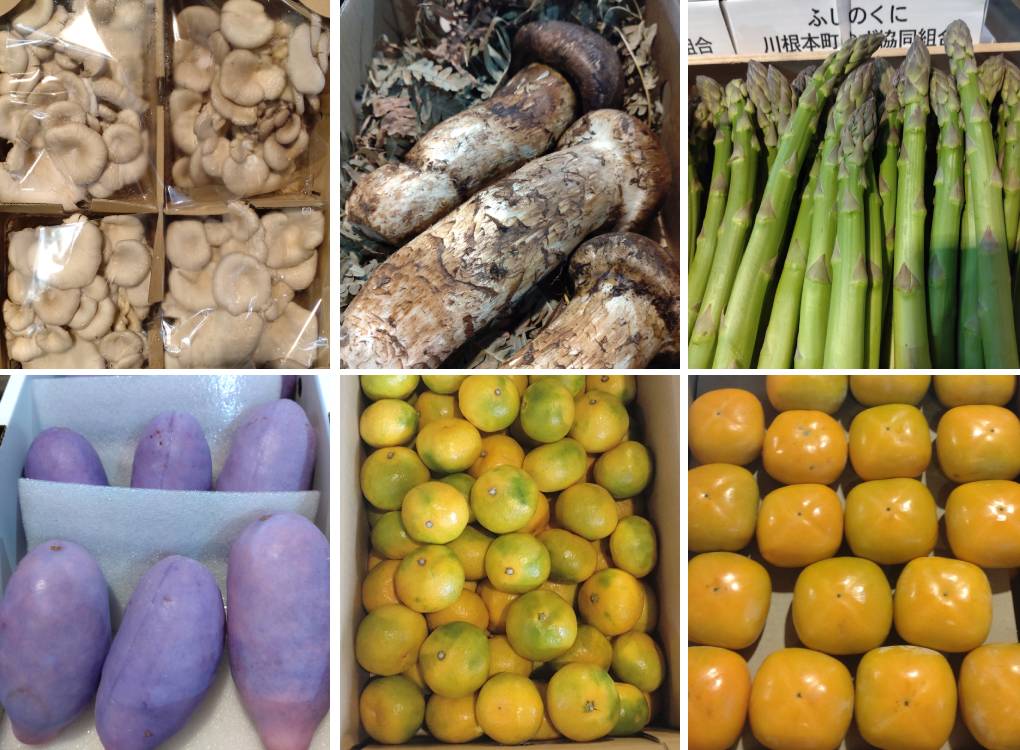 平茸、松茸、アスパラガス、あけび、みかん、柿が入荷です。